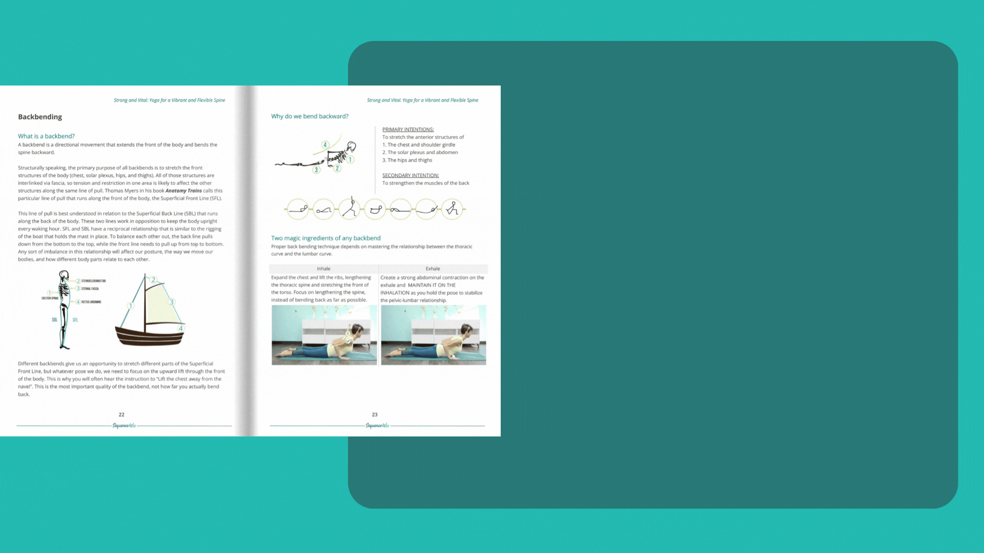 Happy U » Strong and Vital Yoga for a Vibrant and Flexible Spine