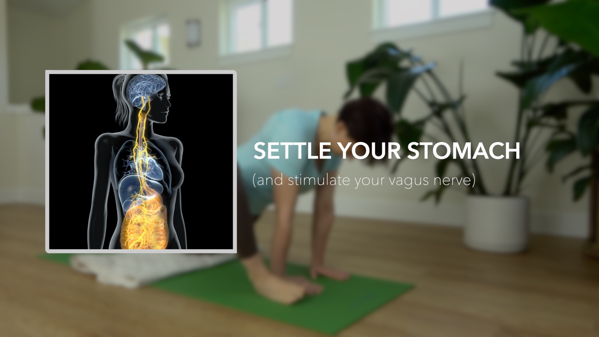 Happy U » Settle your stomach and stimulate your vagus nerve